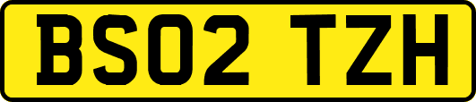 BS02TZH