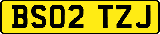 BS02TZJ