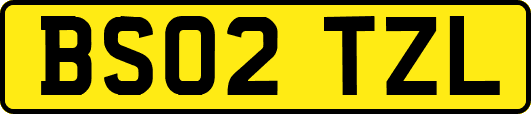 BS02TZL
