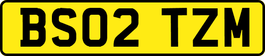BS02TZM