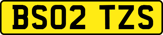 BS02TZS