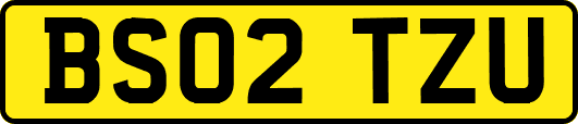 BS02TZU