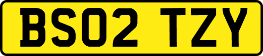 BS02TZY