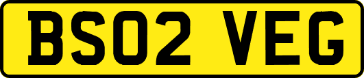 BS02VEG