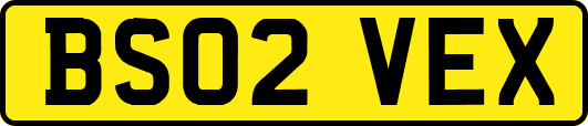 BS02VEX