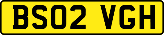 BS02VGH