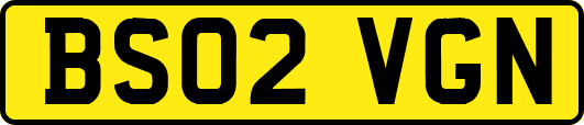 BS02VGN