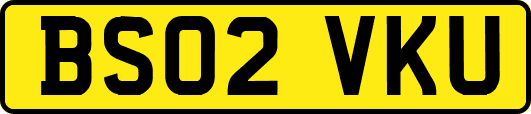 BS02VKU