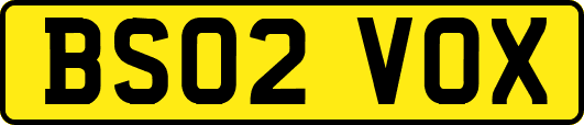 BS02VOX