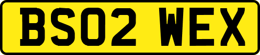 BS02WEX