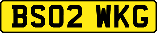 BS02WKG