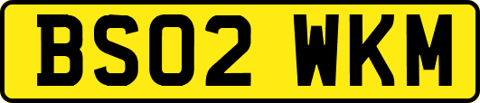 BS02WKM