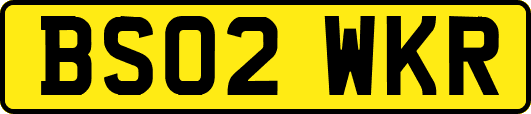 BS02WKR