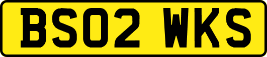 BS02WKS