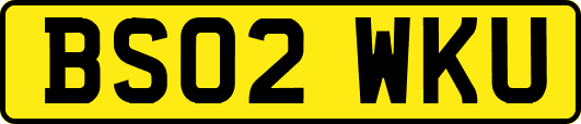 BS02WKU