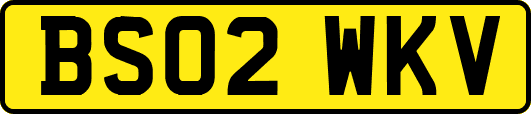 BS02WKV