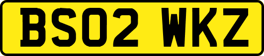 BS02WKZ
