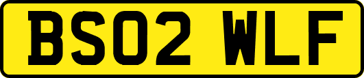 BS02WLF