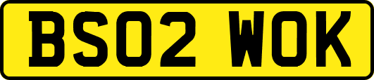 BS02WOK