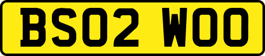 BS02WOO
