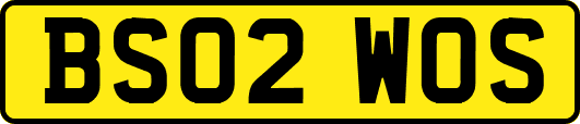 BS02WOS