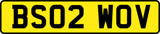 BS02WOV