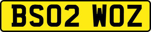 BS02WOZ