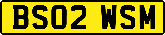 BS02WSM
