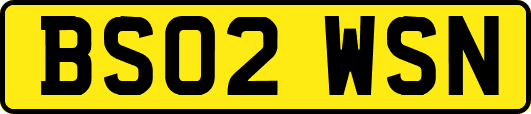 BS02WSN