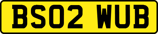 BS02WUB