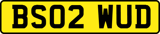 BS02WUD