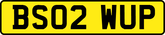 BS02WUP