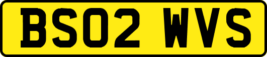 BS02WVS