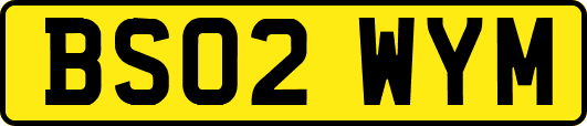 BS02WYM