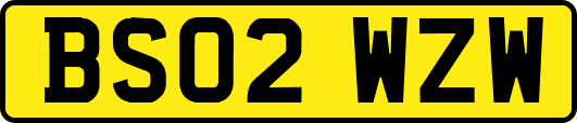 BS02WZW
