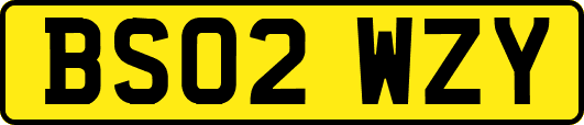 BS02WZY