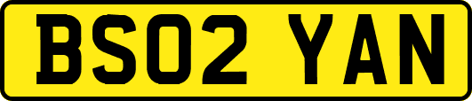 BS02YAN
