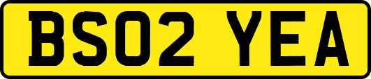 BS02YEA