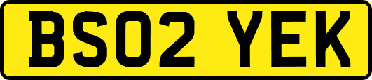 BS02YEK