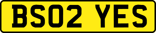 BS02YES