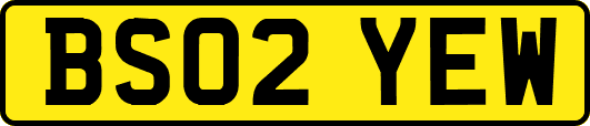 BS02YEW