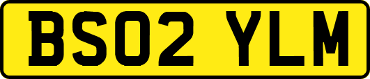 BS02YLM