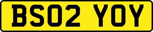 BS02YOY
