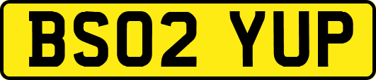 BS02YUP
