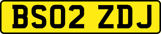 BS02ZDJ