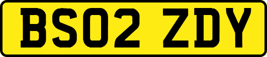 BS02ZDY