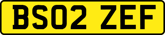 BS02ZEF