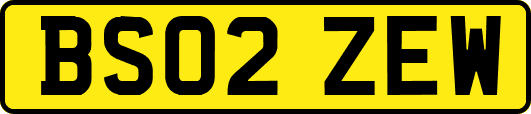 BS02ZEW