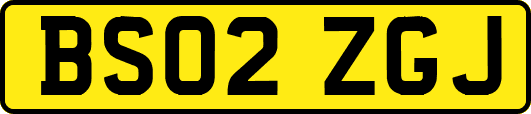 BS02ZGJ