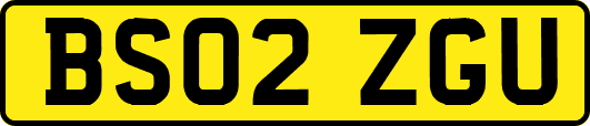BS02ZGU